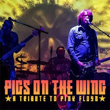 Pigs on the Wing Event Image